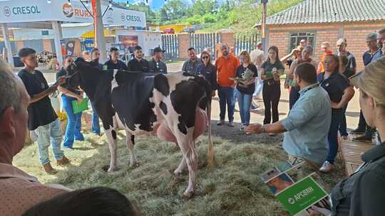 Demonstrações de análise de conformação agregam conhecimento técnico durante a Expobel 2026